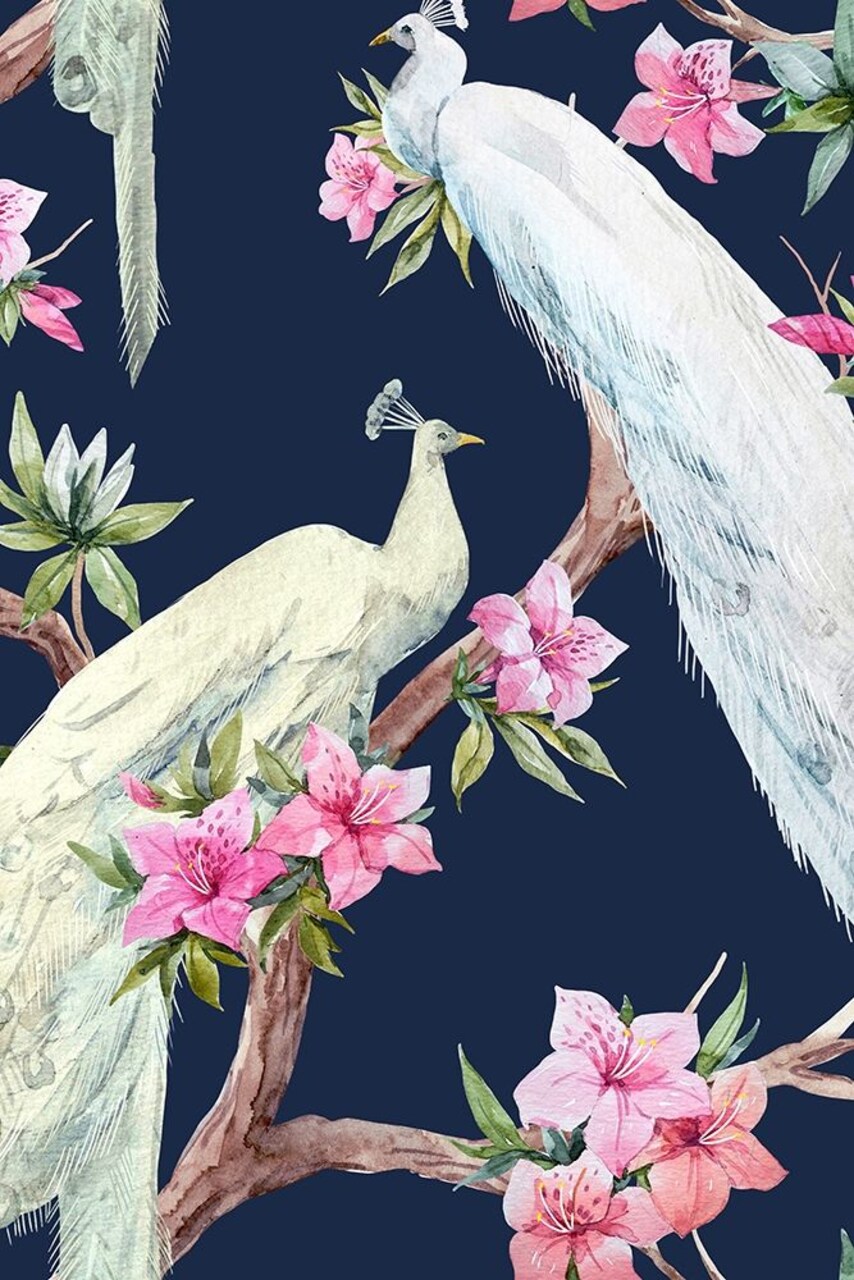 Paradis Birds Ii Poster Print by Incado - Item # VARPDXIN99172